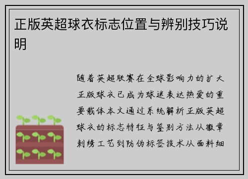 正版英超球衣标志位置与辨别技巧说明